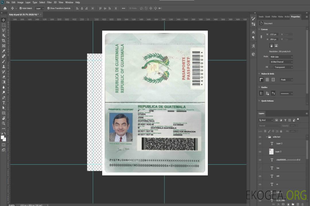 Passeport guatémaltèque template Passeport guatémaltèque template